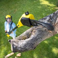 Best Lawn Watering Services  in Sans Souci, SC